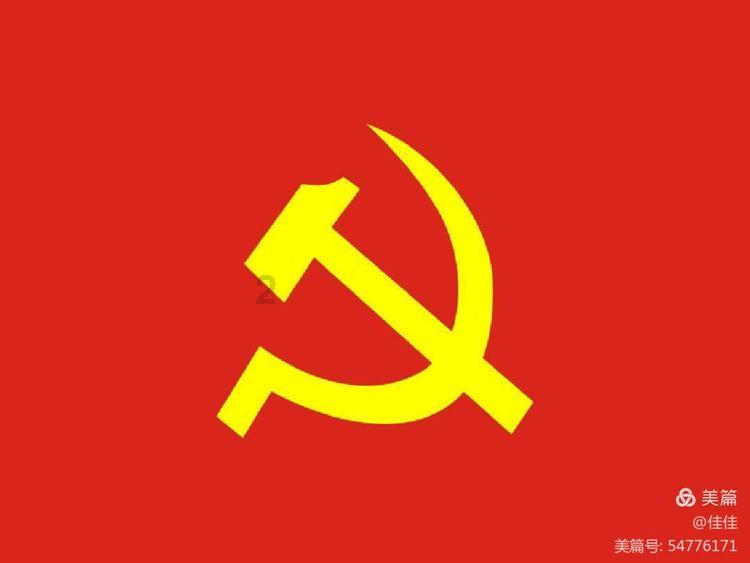 可怜猫的救援